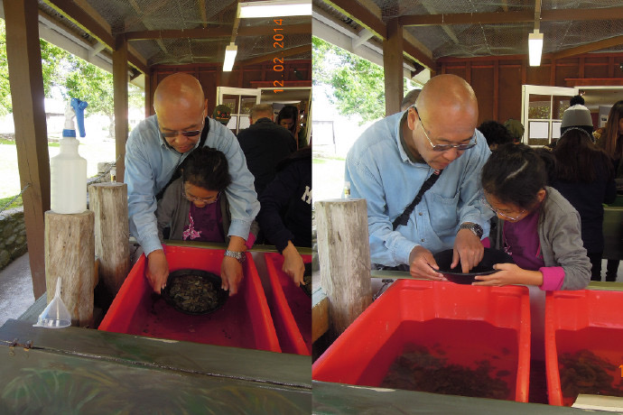 新西兰假期-05.jpeg 新西兰假期 05