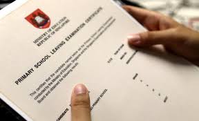 Read more about the article 2017小六会考——尘埃落定