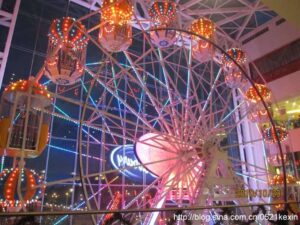 Read more about the article 昕的乐园