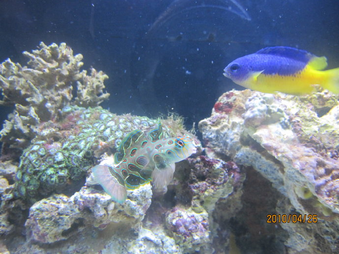 养鱼-02.jpeg 养鱼 02