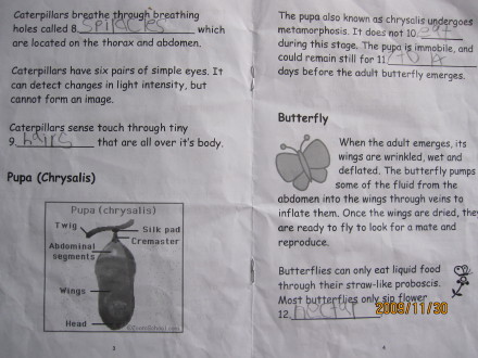 化蝶-04.jpeg 化蝶 04