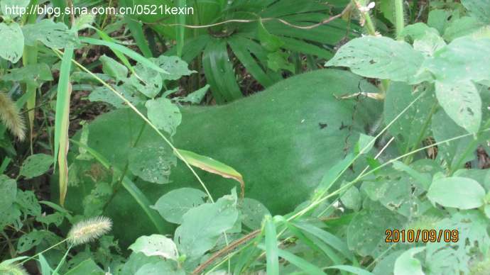 回家了-1.jpeg 回家了 1