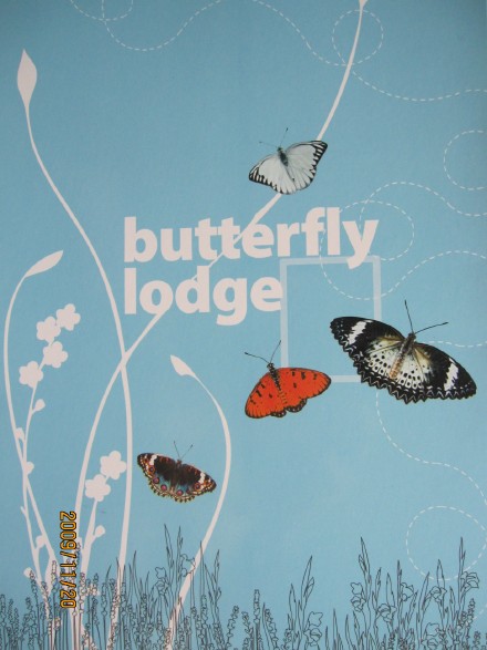 礼物-05.jpeg 礼物 05