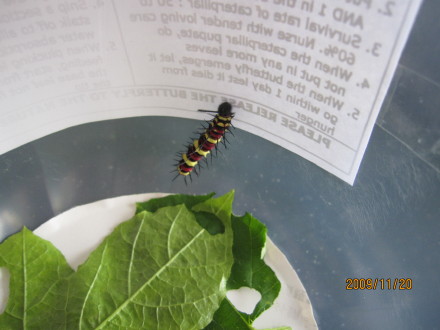 礼物-06.jpeg 礼物 06