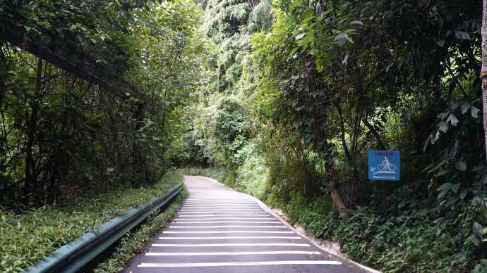 2014-1-11母亲节-10.jpeg 2014 1 11母亲节 10