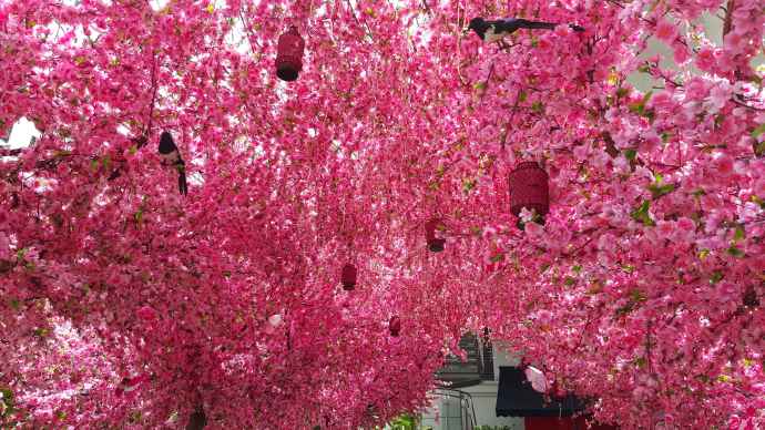 2016春节生日-03.jpeg 2016春节生日 03