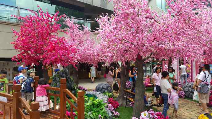 2016春节生日-04.jpeg 2016春节生日 04