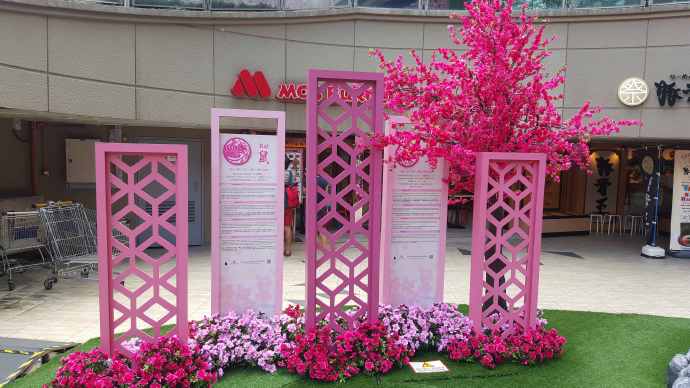 2016春节生日-05.jpeg 2016春节生日 05