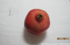 Read more about the article 石榴 (2011-06-21 07:56:24)