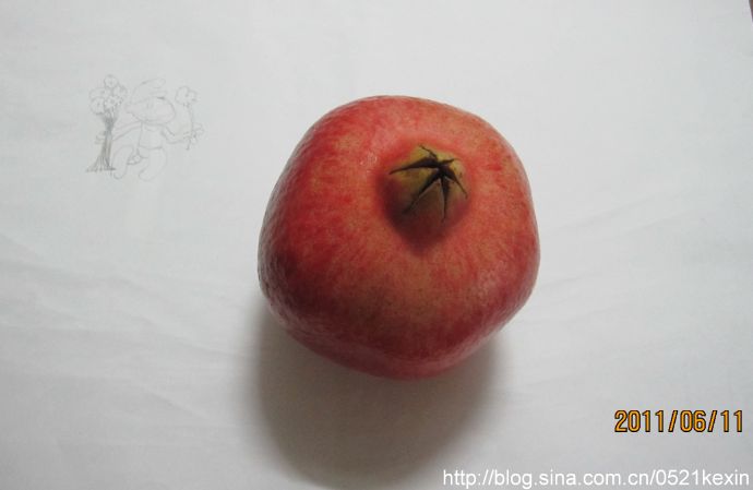 You are currently viewing 石榴 (2011-06-21 07:56:24)