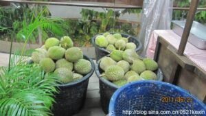 Read more about the article 螃蟹、榴莲自助餐（The Ultimate Crab & Durian Buffet）